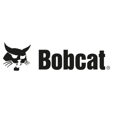 bobcat